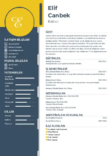 Bakıcı Cv Örnekleri cv indir